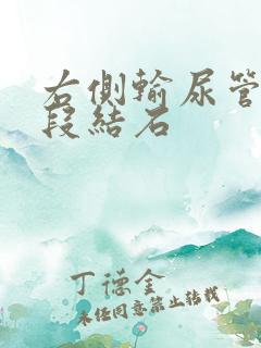 右侧输尿管入盆段结石