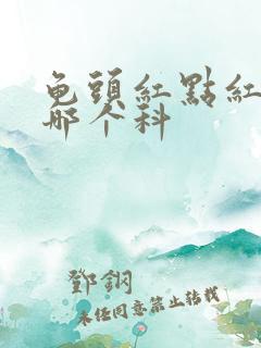 龟头红点红斑挂哪个科