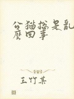 公猫总是乱尿怎么回事