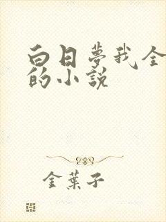白日梦我全免费的小说