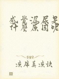 感觉漏尿是怎么什么原因呢