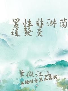 男性非淋菌性尿道发炎