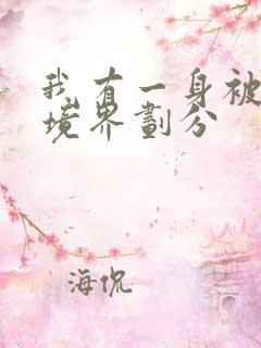 我有一身被动技境界划分