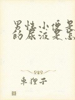 男性小便是红色的尿液是怎么回事