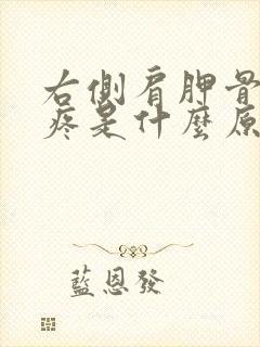 右侧肩胛骨里边疼是什么原因