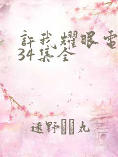 许我耀眼电视剧34集全