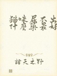 猫咪尿不出尿吃什么药最好