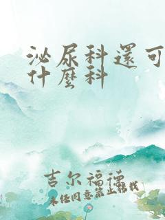 泌尿科还可以挂什么科