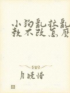 小狗乱拉乱尿屡教不改怎么办