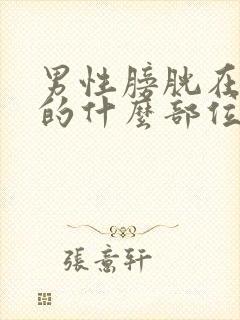 男性膀胱在身体的什么部位