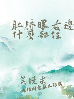 肚脐眼右边疼是什么部位