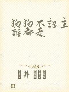 狗狗不认主人跟谁都走