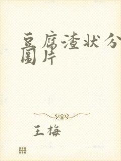 豆腐渣状分泌物图片