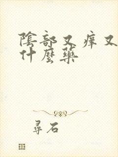 阴部又痒又痛用什么药