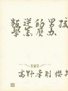 叛逆的男孩子厌学怎么办