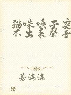 猫咪嗓子突然发不出来声音