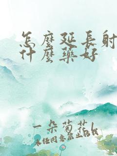 怎么延长射精吃什么药好