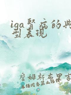iga肾病的典型表现