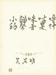 小猫咪咕噜咕噜的声音是什么意思