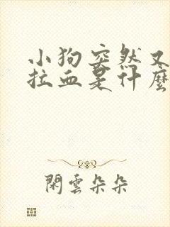 小狗突然又吐又拉血是什么原因