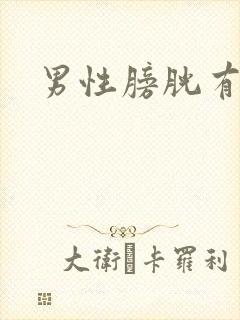 男性膀胱有多大