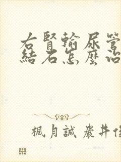 右肾输尿管下段结石怎么治疗