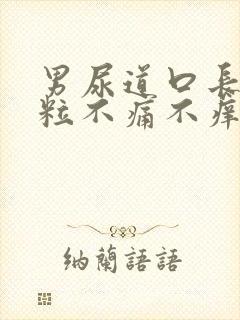 男尿道口长小肉粒不痛不痒