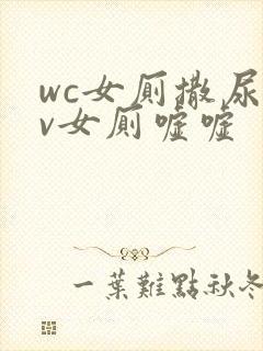 wc女厕撒尿tv女厕嘘嘘