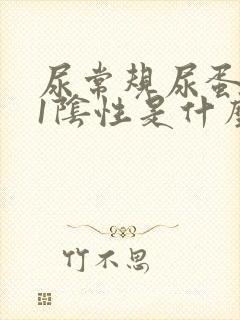 尿常规尿蛋白+1阴性是什么意思