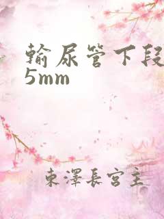 输尿管下段结石5mm