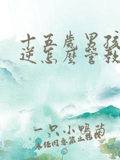 十五岁男孩子叛逆怎么管教更有效