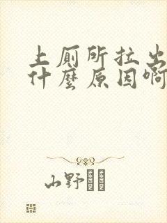 上厕所拉出血是什么原因啊