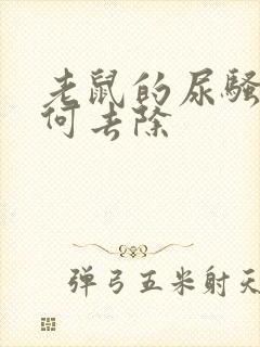 老鼠的尿骚味如何去除