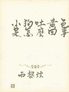 小狗吐黄色液体是怎么回事