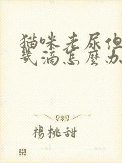 猫咪老尿但就尿几滴怎么办