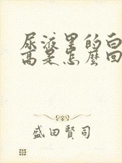 尿液里的白细胞高是怎么回事女性