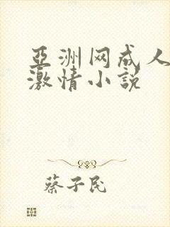 亚洲网成人都市激情小说