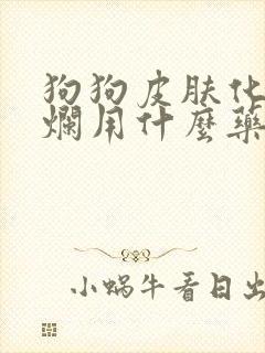 狗狗皮肤化脓溃烂用什么药