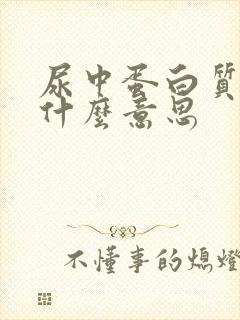 尿中蛋白质+2什么意思