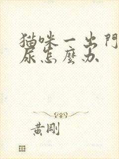 猫咪一出门就吓尿怎么办