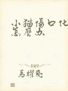 小猫伤口化脓了怎么办