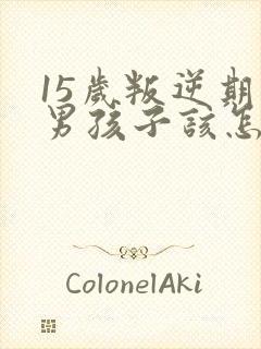 15岁叛逆期的男孩子该怎样去沟通教育