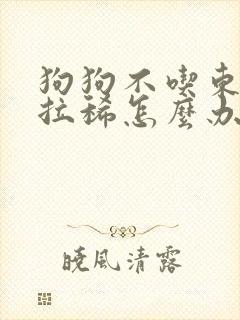 狗狗不吃东西还拉稀怎么办