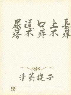 尿道口上长小疙瘩不疼不痒