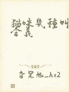 猫咪几种叫声的含义