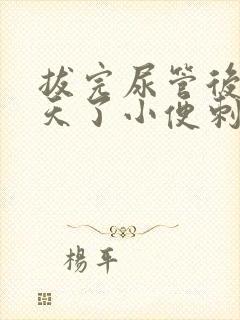 拔完尿管后10天了小便刺痛