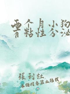 两个月小狗眼睛有粘性分泌物