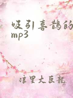 吸引喜鹊的声音mp3