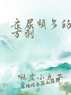 夜尿频多的中药方剂