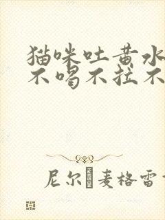 猫咪吐黄水不吃不喝不拉不尿的